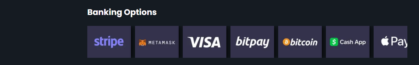 The Banking Options strip on rocky.casino: a row of payment logos with no text beneath the heading